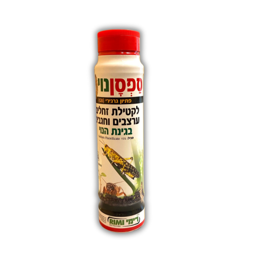 עיצוב ללא שם (2)