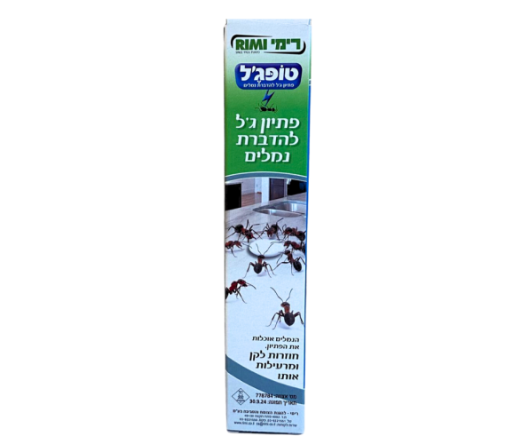עיצוב ללא שם