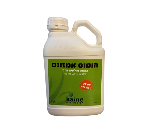 עיצוב ללא שם (14)